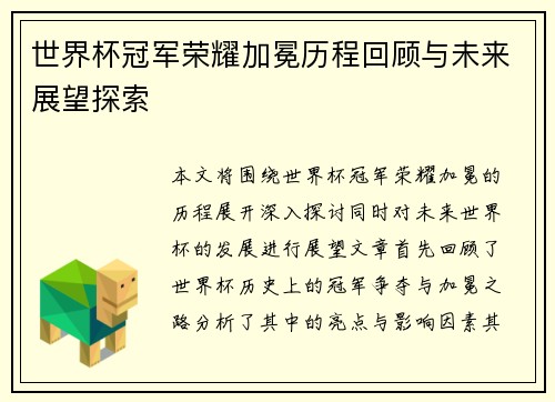 世界杯冠军荣耀加冕历程回顾与未来展望探索